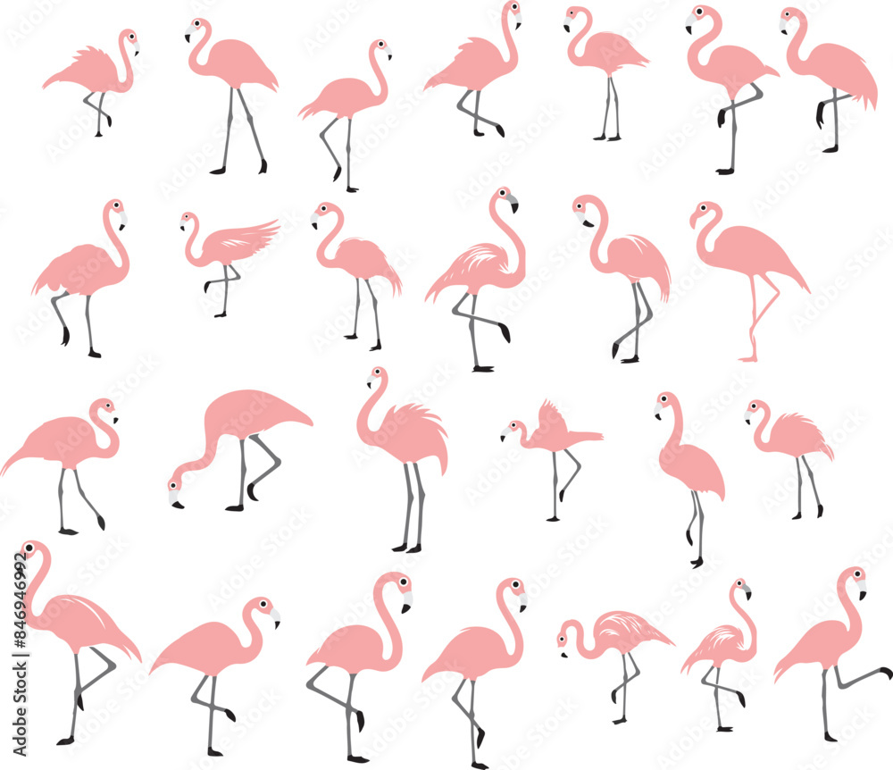 Obraz premium Set of Exotic pink flamingo bird vector s Silhouette. 