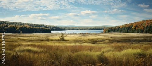 Open field with tall grass stretching towards a serene lake, set against the forest of Quabbin Reservoir in Ware, Massachusetts. with copy space image. Place for adding text or design photo