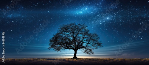 Lonely tree in expansive fi...