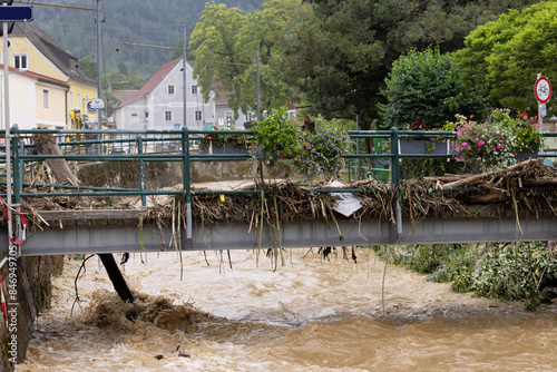 Fallen trees on the bridge and boxes with beautiful flowers. The consequences of flooding in an Austrian city. Deutschfeistritz, Austria - 09 Jun 2024