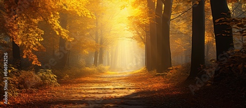 A narrow path winding throu...