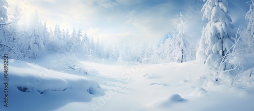 Snow-laden trees stand tall...