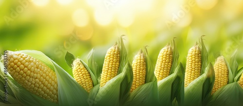 Rural field filled with rip...