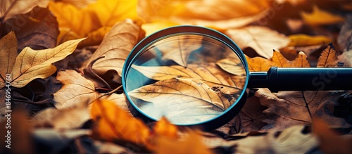 Magnifier closely inspects ...
