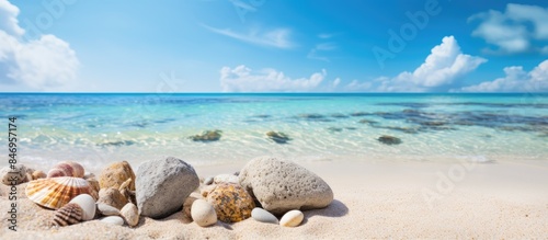 Rocks, shells, and corals s...