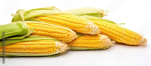 Multiple corn ears arranged...