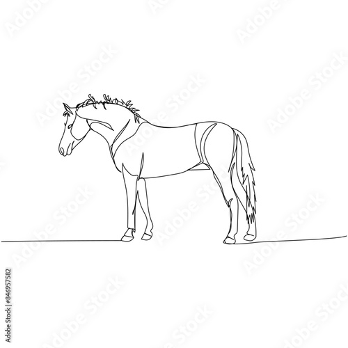 horse  pony  livestock  artiodactyl one line art. Continuous line drawing of farm  nature  agriculture  farm animals  rural life  ranch.