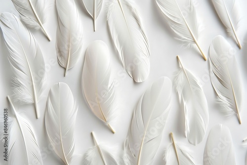 White feathers on a white background