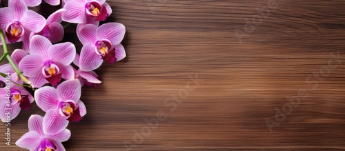 Single orchid bloom placed on a rustic wooden surface. with copy space image. Place for adding text or design