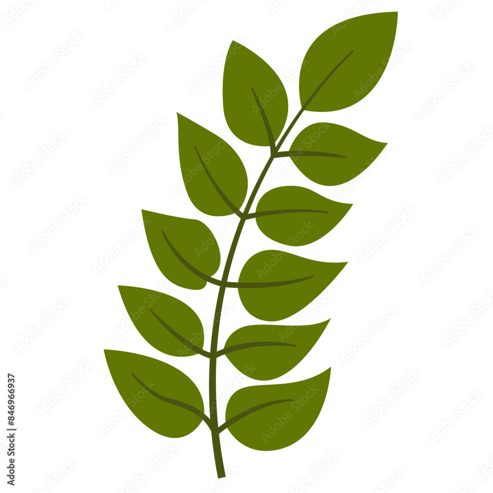 Naklejka premium Fresh Green Tropical Leaf, Design Vector Element Flower and Leaves 