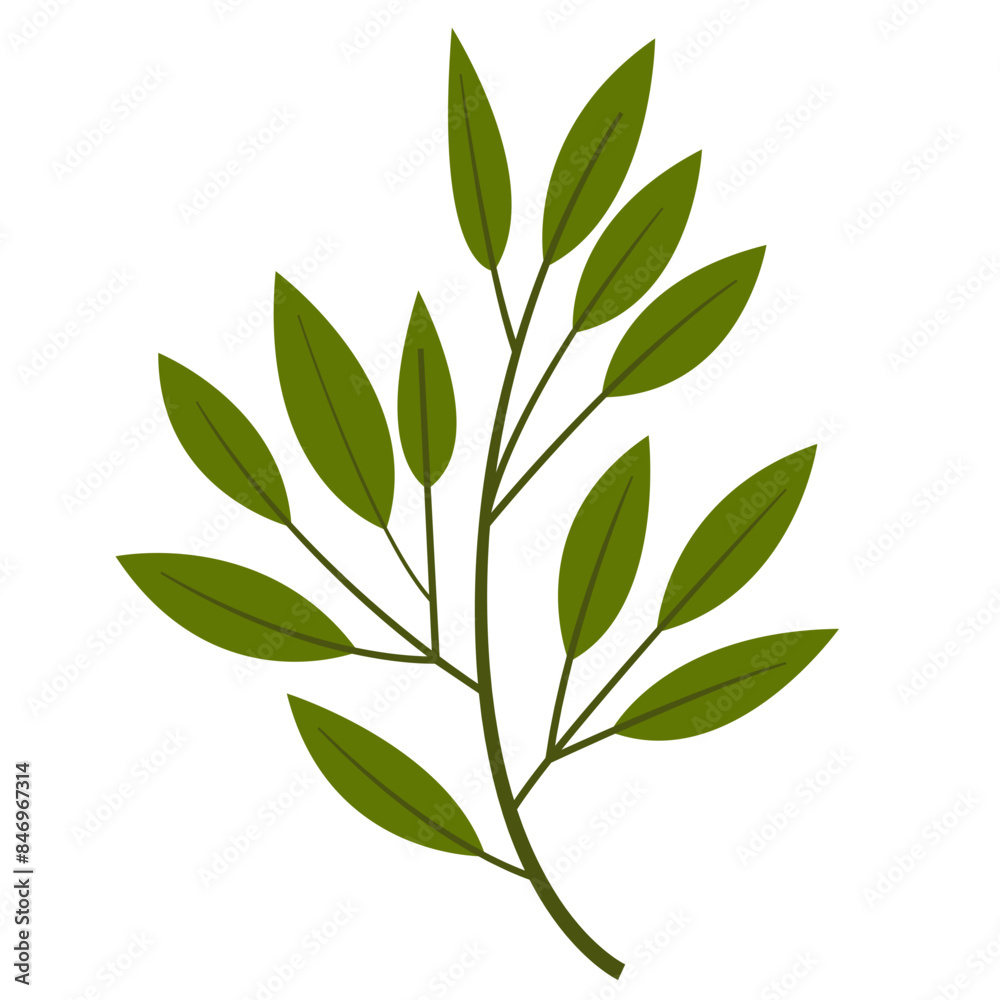Hand Drawn Leaf and Flower, Foliage and Floral Clipart Design Hand Drawn Leaf and Flower, Foliage and Floral Clipart Design