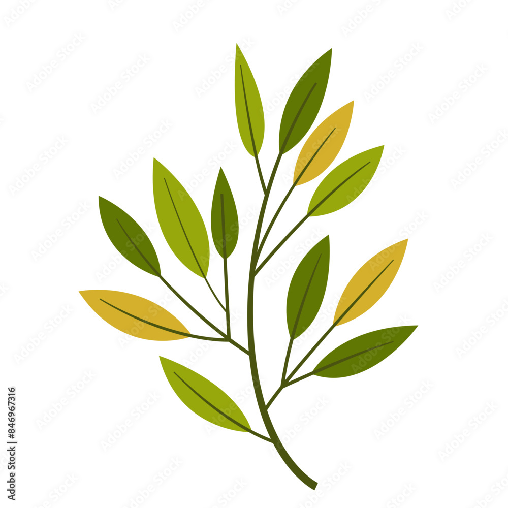 Hand Drawn Leaf and Flower, Foliage and Floral Clipart Design