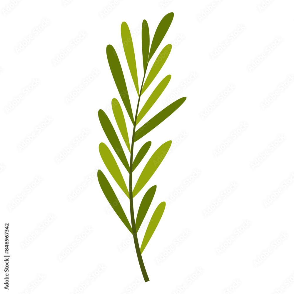 Obraz premium Hand Drawn Leaf and Flower, Foliage and Floral Clipart Design