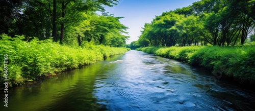 River peacefully flows through lush green forest, showcasing natural beauty of the landscape. with copy space image. Place for adding text or design
