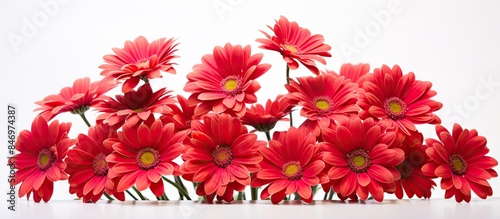 Red flowers in bright shade...