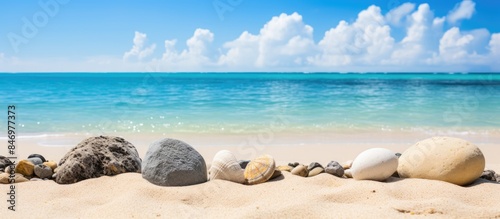 Rocks and corals scattered ...