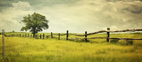 Rustic palisade standing in...