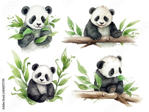 Set of cute baby panda bear on the tree branch watercolor isolated white background. Vector illustration