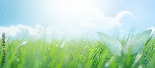 White feather drifting over lush green field of grass captured from above in daylight. with copy space image. Place for adding text or design
