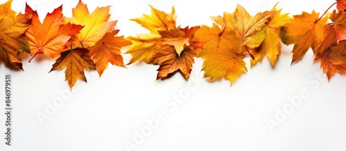 Line of fall foliage on a p...
