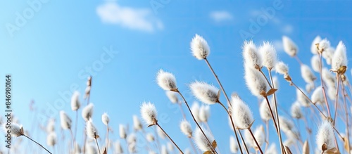 A view from above of a fiel...