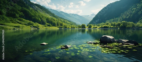 Lush green lake surrounded by towering mountains, with serene water lilies and scattered rocks in the foreground. with copy space image. Place for adding text or design