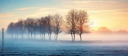 Lush trees surrounded by mist on a tranquil countryside morning. with copy space image. Place for adding text or design