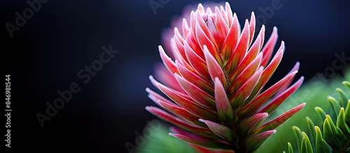 Close-up shot of flora flow...