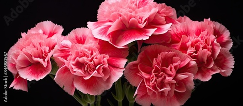 Pink flowers arranged in a ...