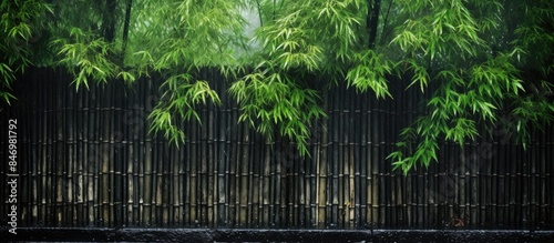 Fresh green leaves adorn a ...