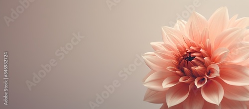 Smooth pink flower in a vas...