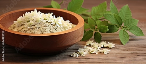 Rice bowl and plant placed ...