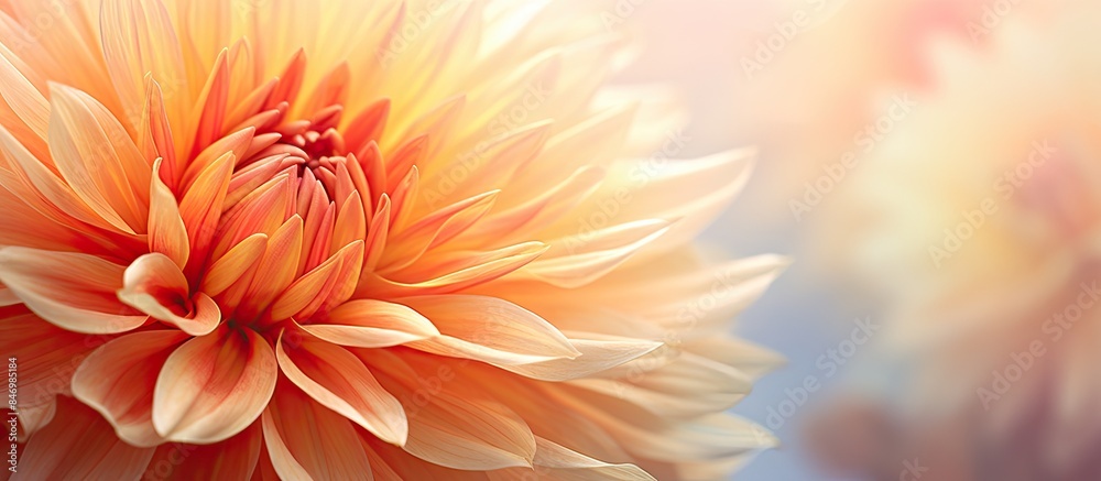 Macro shot focusing on a beautiful flower with a soft and out-of-focus background in nature photography closeups. with copy space image. Place for adding text or design Macro shot focusing on a beautiful flower with a soft and out-of-focus background in nature photography closeups. with copy space image. Place for adding text or design