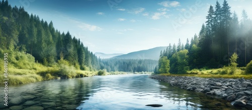 River surrounded by a lush ...