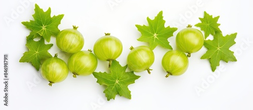 Bunch of fresh green gooseb...