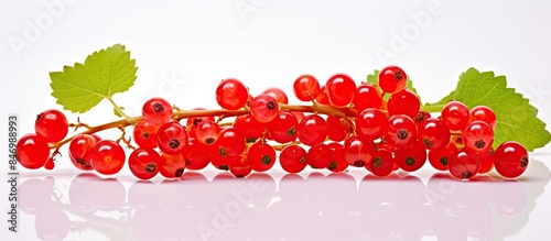 Close-up view of vibrant re...