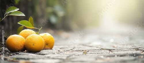 Ripe, fresh oranges lying o...