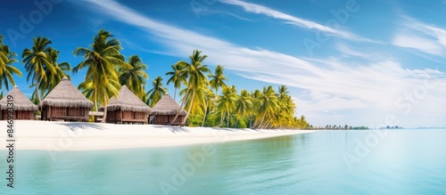 Palm trees standing tall on...