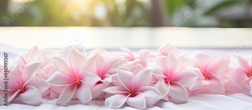 Several delicate pink flowe...