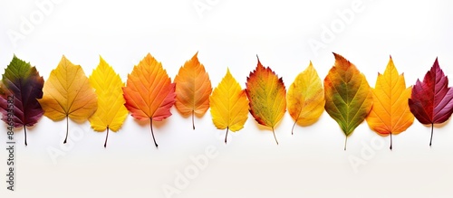 Diverse range of colorful f...