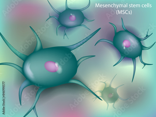 Osteocyte. Сell in mature bone