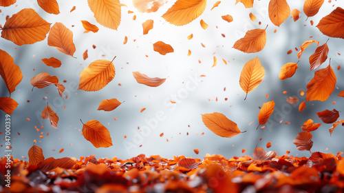 Falling flying autumn leaves background. realistic autumn yellow leaf isolated on white background. fall sale background