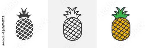 Pineapple Graphic Set. Pineapple Fruit Emblem.