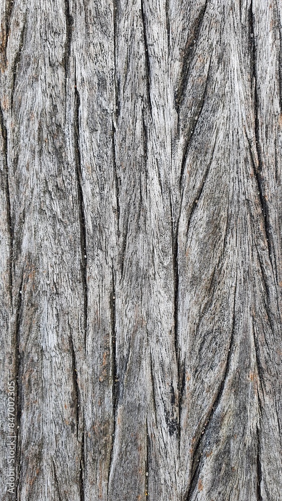 texture texture