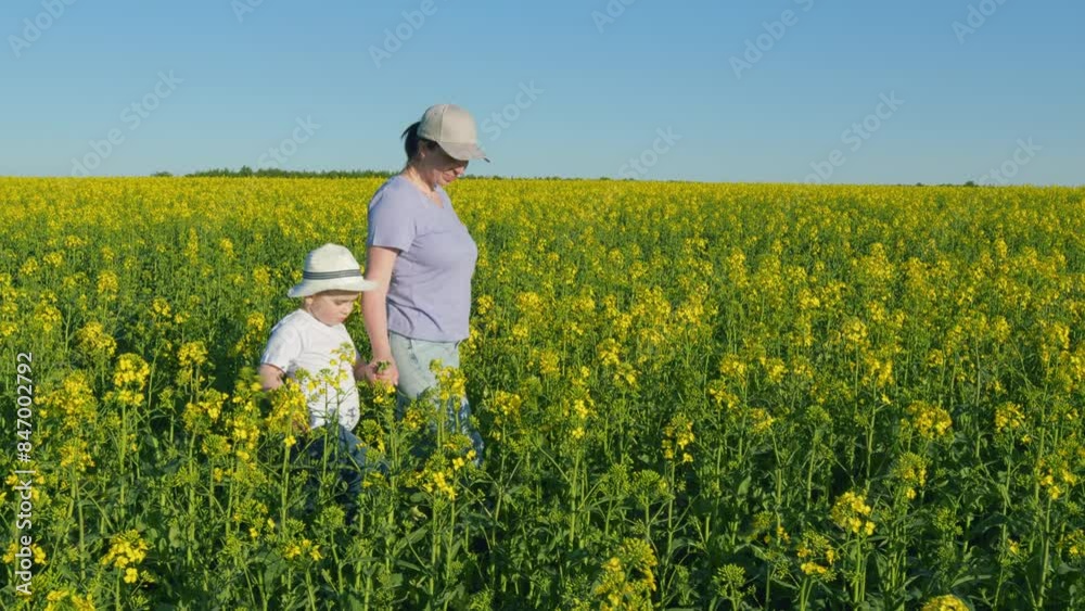 Happy Family Walks On A Rapeseed Field. Mother And Son In A Field Of Rapeseed Flowers. Woman With A Child Is Walking In Nature. Happy Family Walks On A Rapeseed Field. Mother And Son In A Field Of Rapeseed Flowers. Woman With A Child Is Walking In Nature.