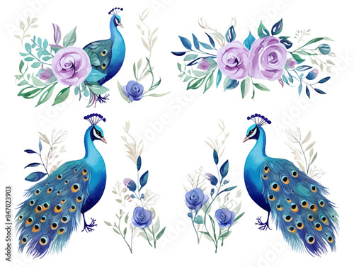 A pair of romantic peacock birds on a branch. love concept on watercolor style set element