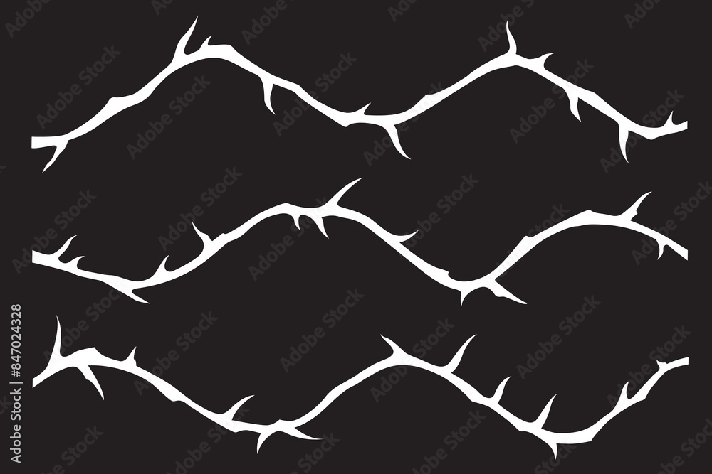 white crown of thorns image isolated on black background white crown of thorns image isolated on black background