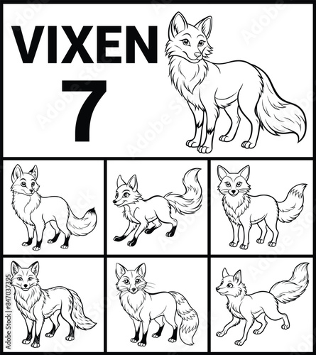 Vixen Outline Set Detailed Vector Illustrations on Clean White Background. Ideal for Nature Artworks.