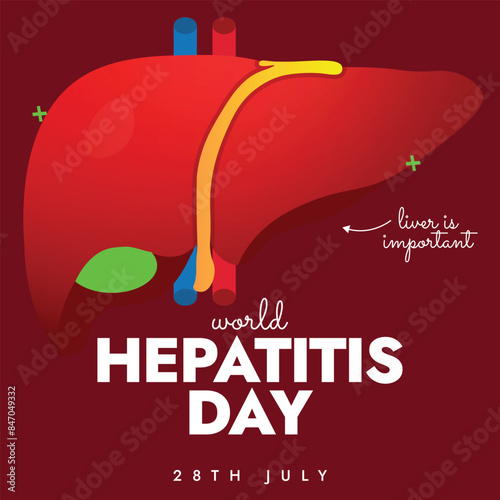 World Hepatitis day. 28th July World Hepatitis day awareness banner with liver vector illustration. The day is celebrated to increase the awareness of viral Hepatitis and the disease it causes. 