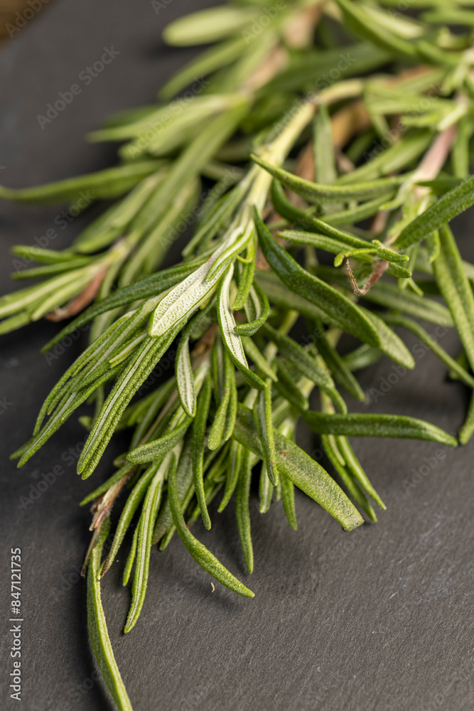 green fresh rosemary is a spice in cooking green fresh rosemary is a spice in cooking